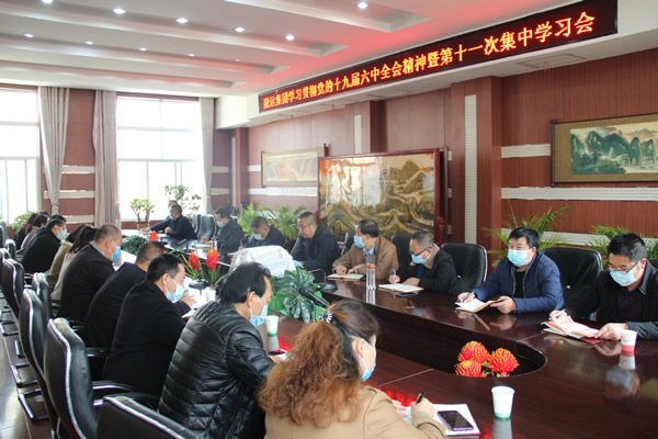 隴運集團公司黨委傳達(dá)學(xué)習(xí)黨的十九 屆六中全會公報精神